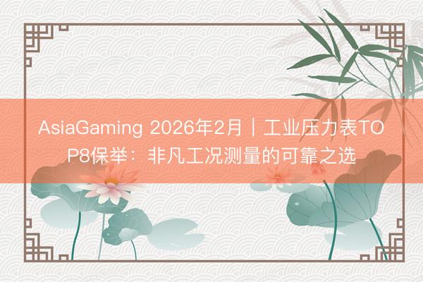 AsiaGaming 2026年2月|工業壓力表TOP8保舉:非凡工況測量的可靠之選