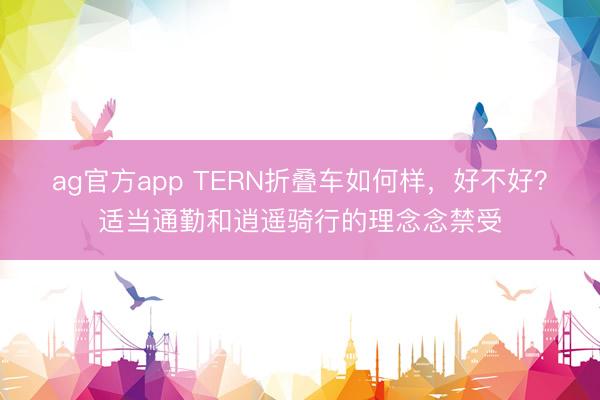 ag官方app TERN折疊車如何樣,好不好?適當通勤和逍遙騎行的理念念禁受