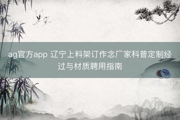 ag官方app 遼寧上料架訂作念廠家科普定制經過與材質聘用指南