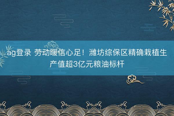ag登錄 勞動暖信心足！濰坊綜保區精確栽植生產值超3億元糧油標桿
