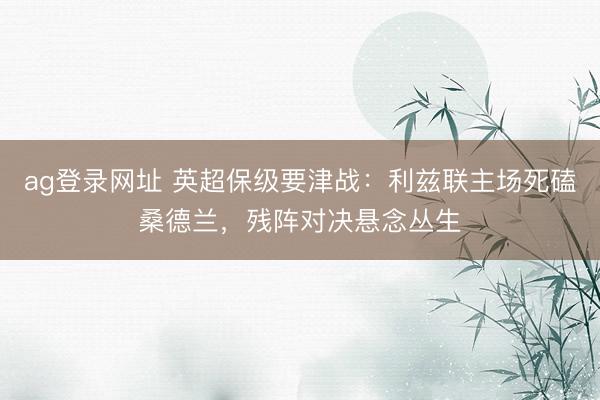ag登錄網(wǎng)址 英超保級(jí)要津戰(zhàn):利茲聯(lián)主場(chǎng)死磕桑德蘭,殘陣對(duì)決懸念叢生